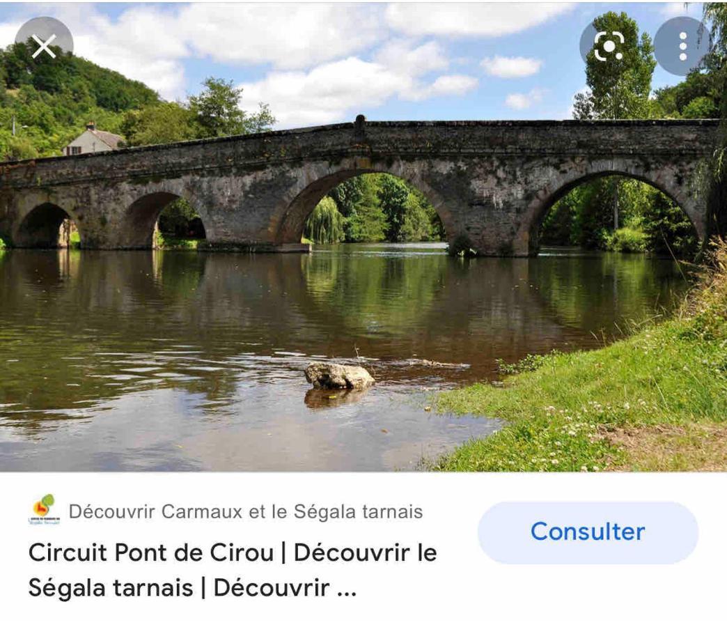 Le gîte de La Souque Mirandol-Bourgnounac Extérieur photo